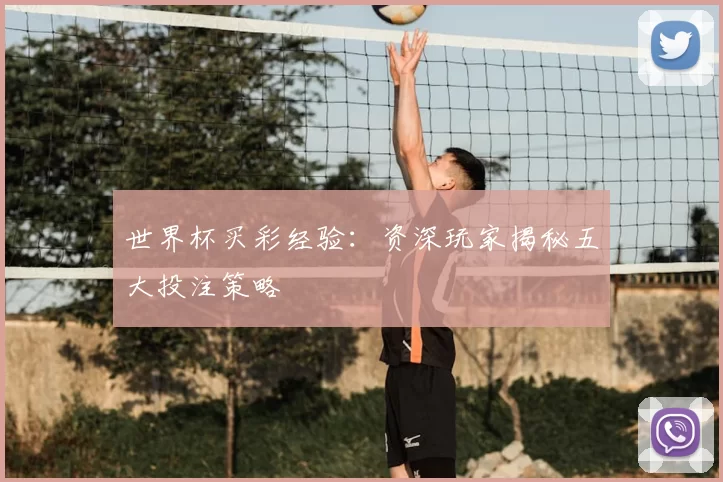 世界杯买彩经验：资深玩家揭秘五大投注策略