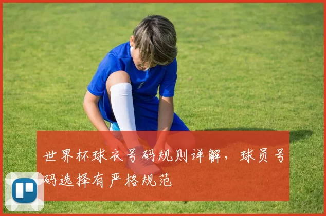 世界杯球衣号码规则详解,球员号码选择有严格规范