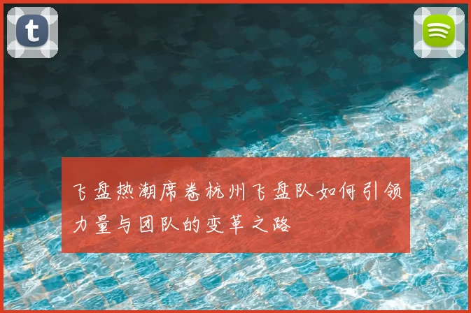 飞盘热潮席卷杭州飞盘队如何引领力量与团队的变革之路