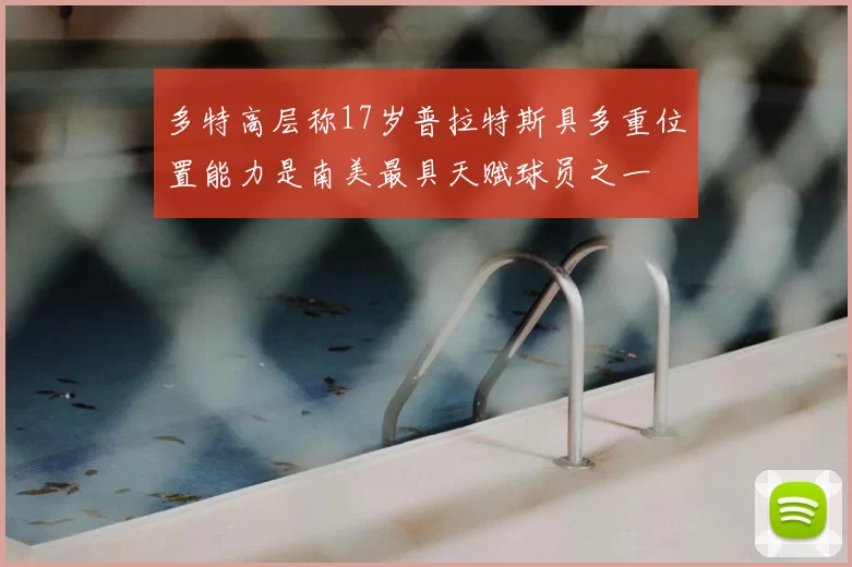 多特高层称17岁普拉特斯具多重位置能力是南美最具天赋球员之一