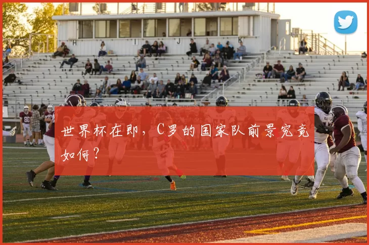 世界杯在即,C罗的国家队前景究竟如何?