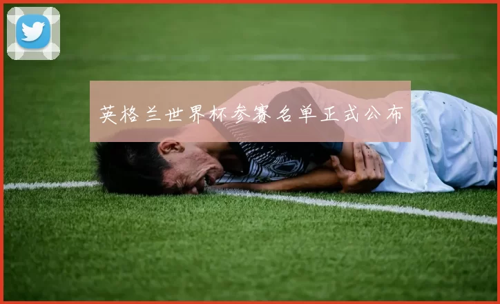英格兰世界杯参赛名单正式公布
