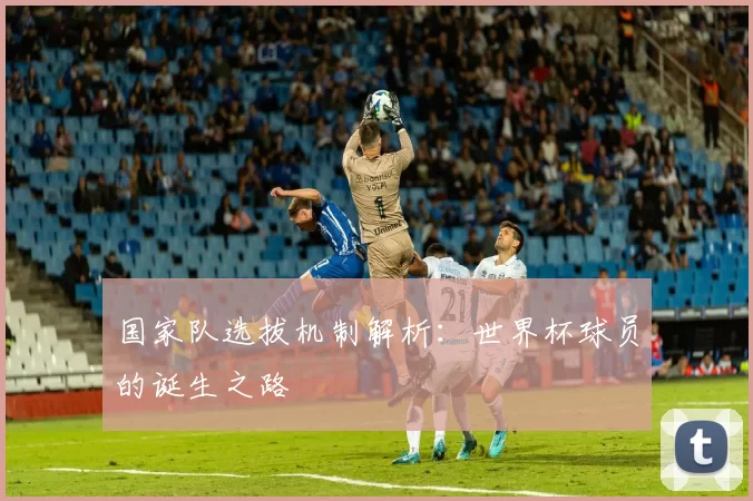 国家队选拔机制解析:世界杯球员的诞生之路