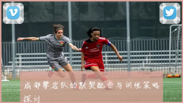 成都攀岩队的默契配合与训练策略探讨